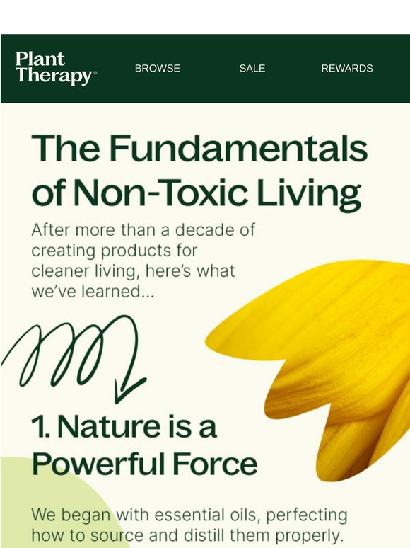 The Fundamentals of Non-Toxic Living 🌿