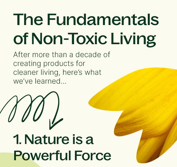 The Fundamentals of Non-Toxic Living