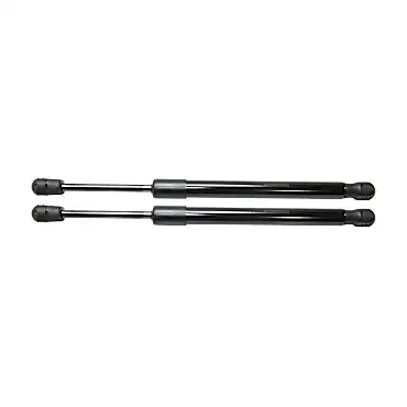 JC Whitney Driver and Passenger Side Trunk Lid Lift Support, Set of 2