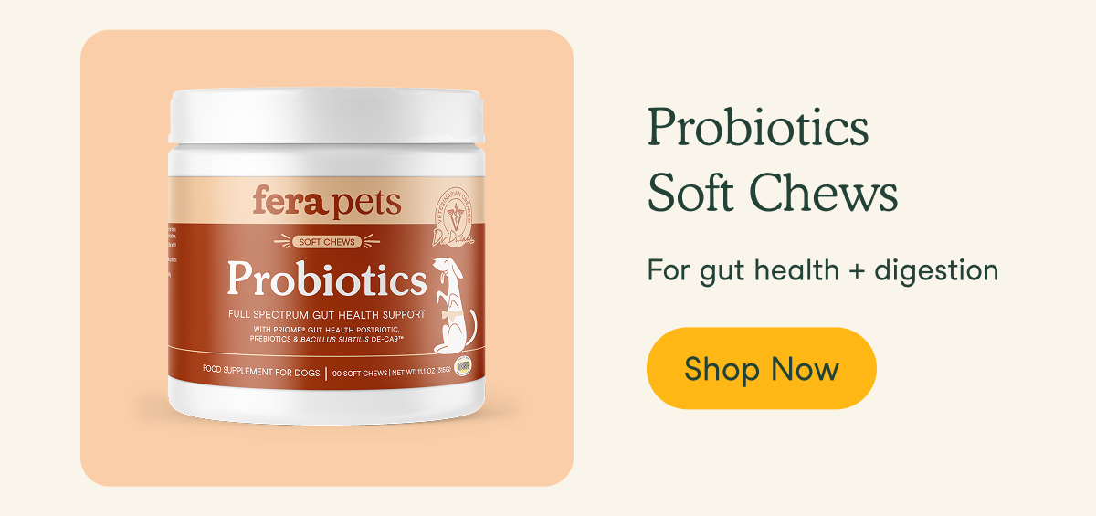 Probiotics Soft Chews