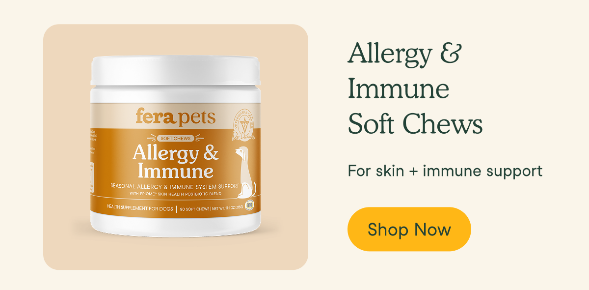 Allergy + Immune Soft Chews 