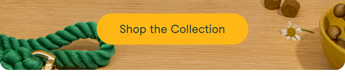 Shop the Collection 
