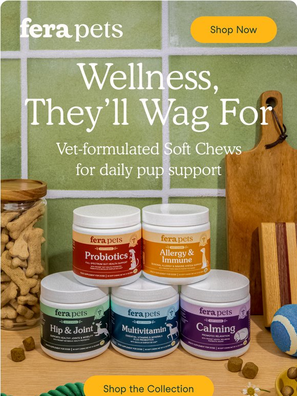Chews Wisely 🐾