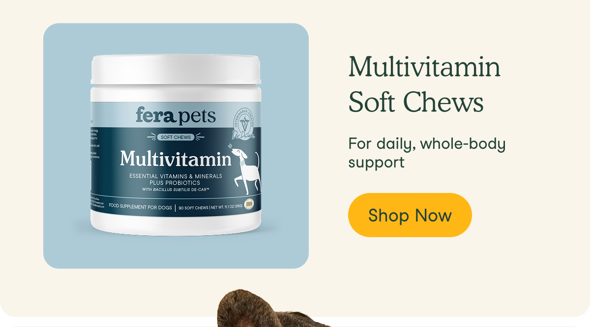 Multivitamin Soft Chews
