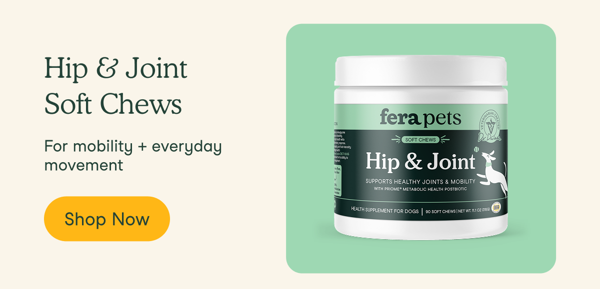 Hip + Joint Soft Chews