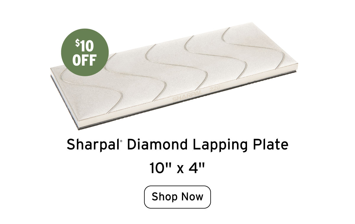 Sharpal Diamond Lapping Plate - 10" x 4"