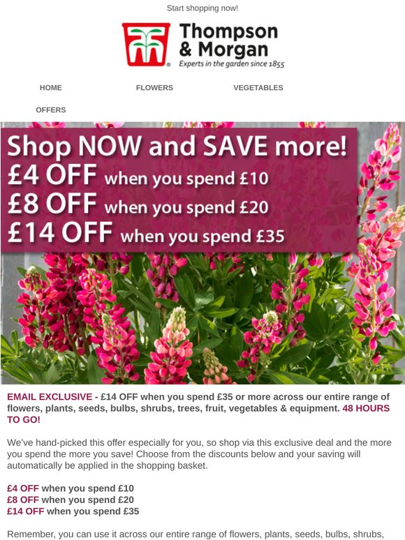 £14 OFF your order! 48 HOURS TO GO!