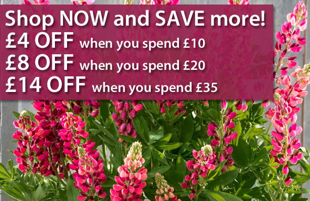 Up to £14 OFF