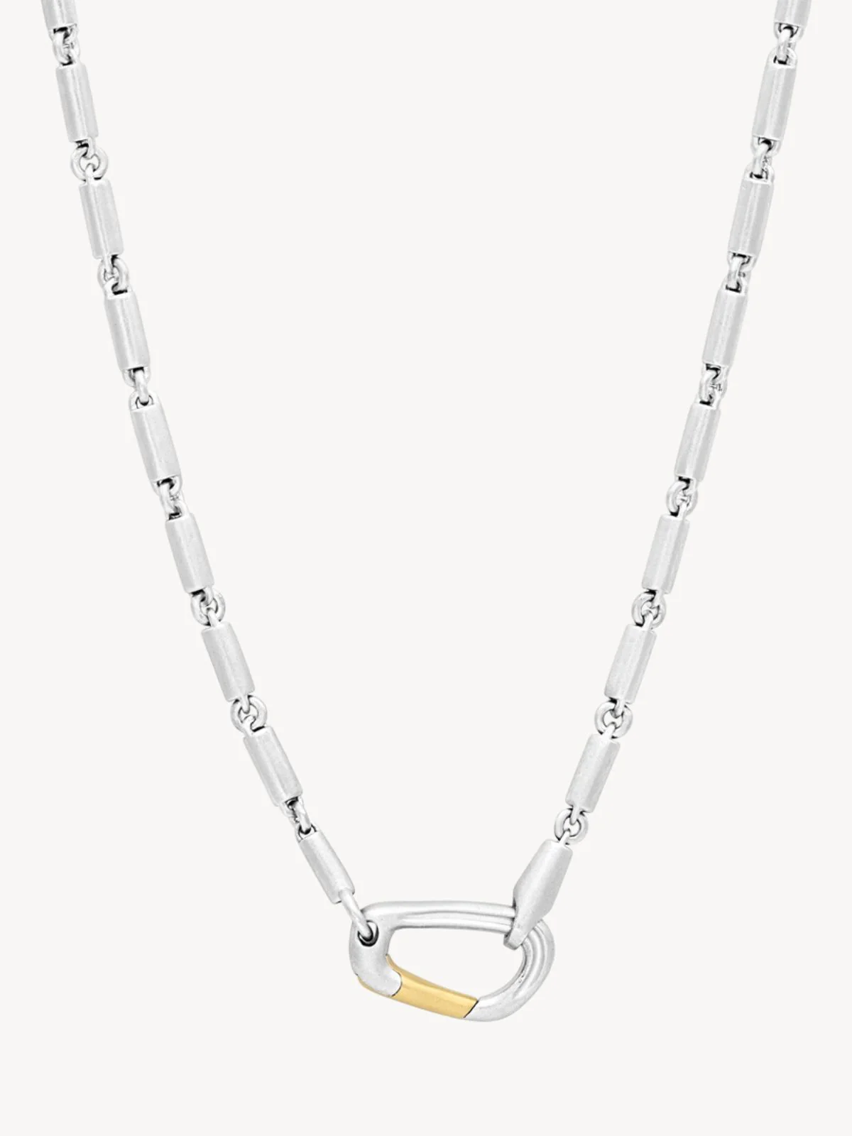 Image of Mason Chain Carabiner Necklace