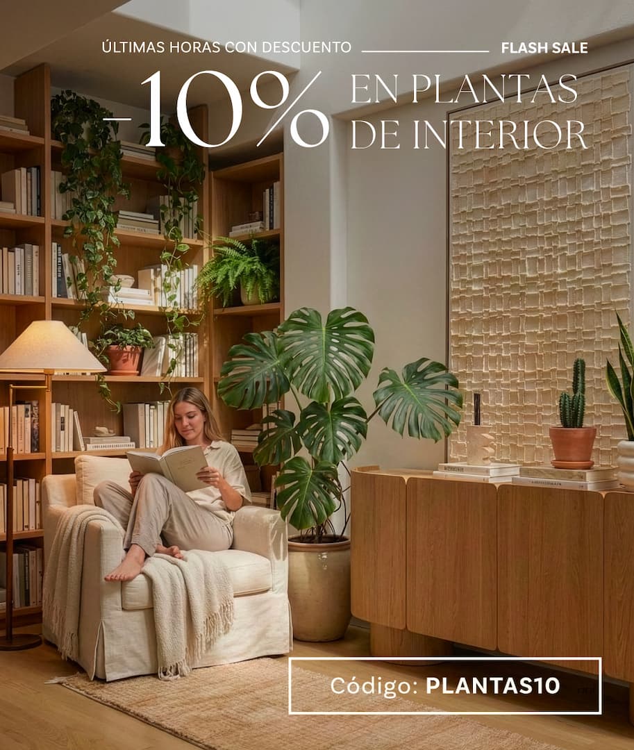 Flash Sale interior
