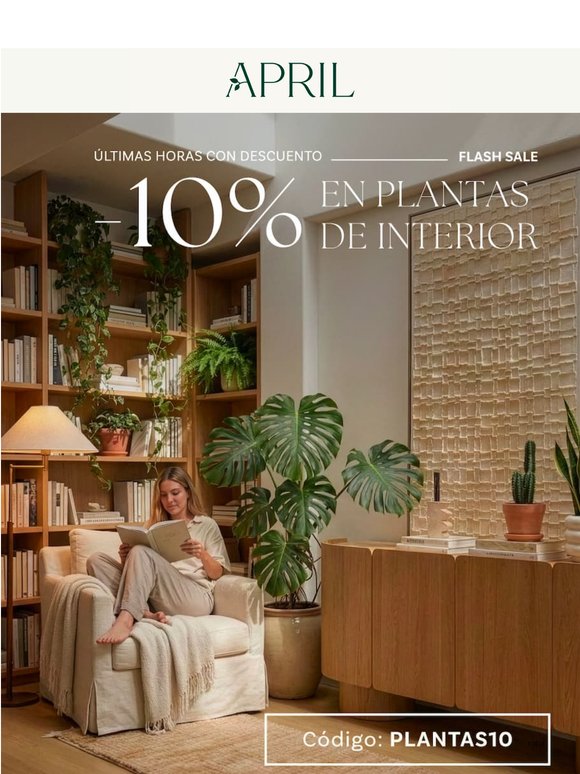 Últimas horas FLASH SALE -10%
