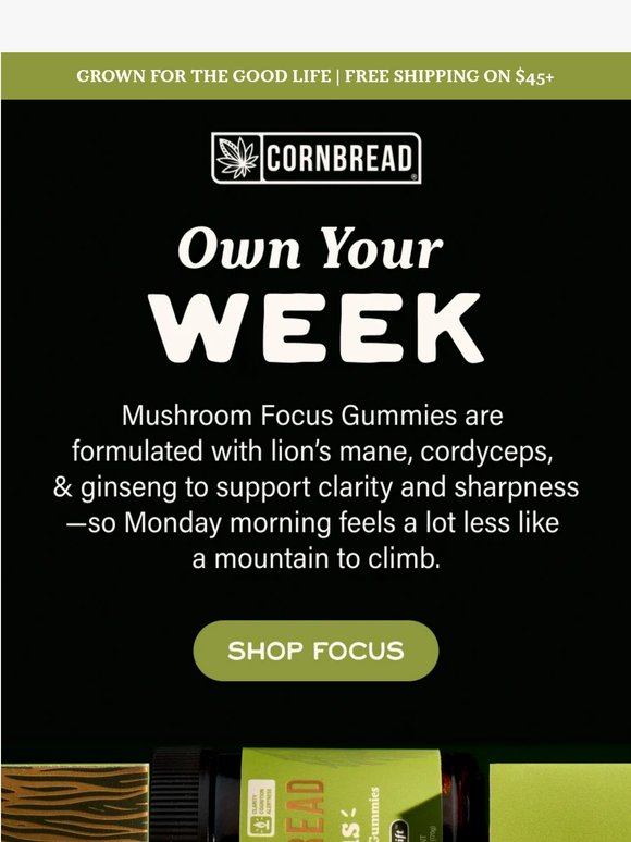 Sunday scaries? Focus has your back!