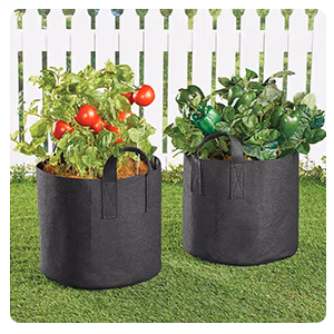 Lawn & Garden