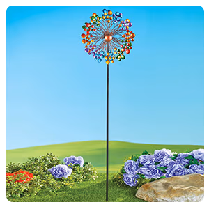 Outdoor Decor