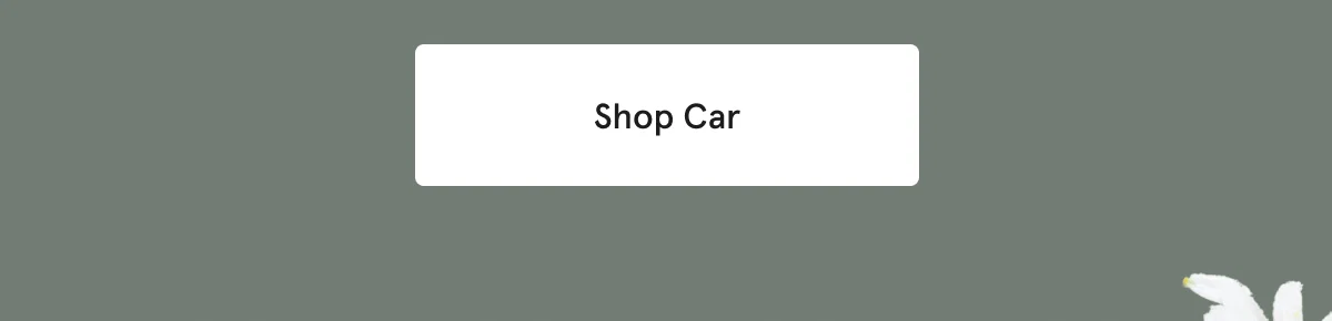 Shop Car