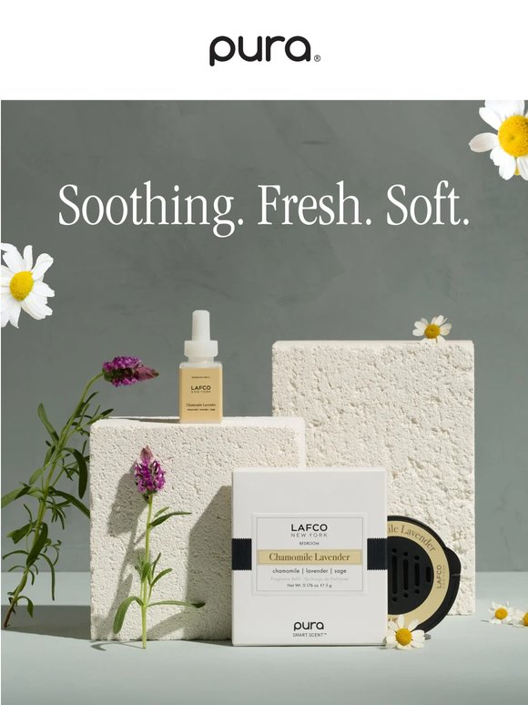A meditative moment with May’s Fragrance of the Month