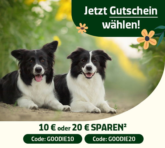 Frühlingsgutschein aussuchen