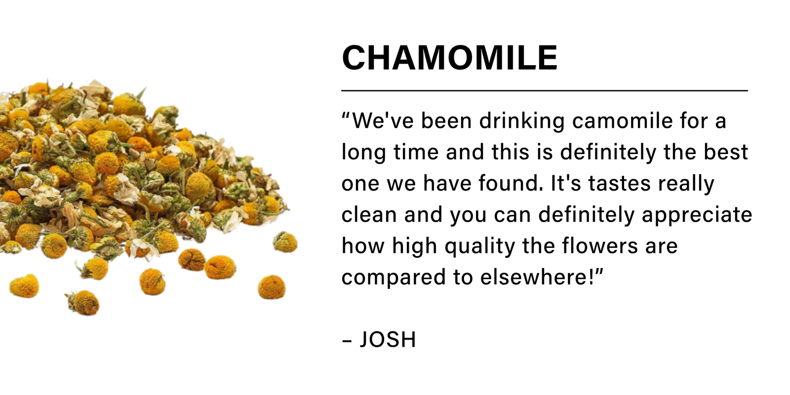 chamomile
