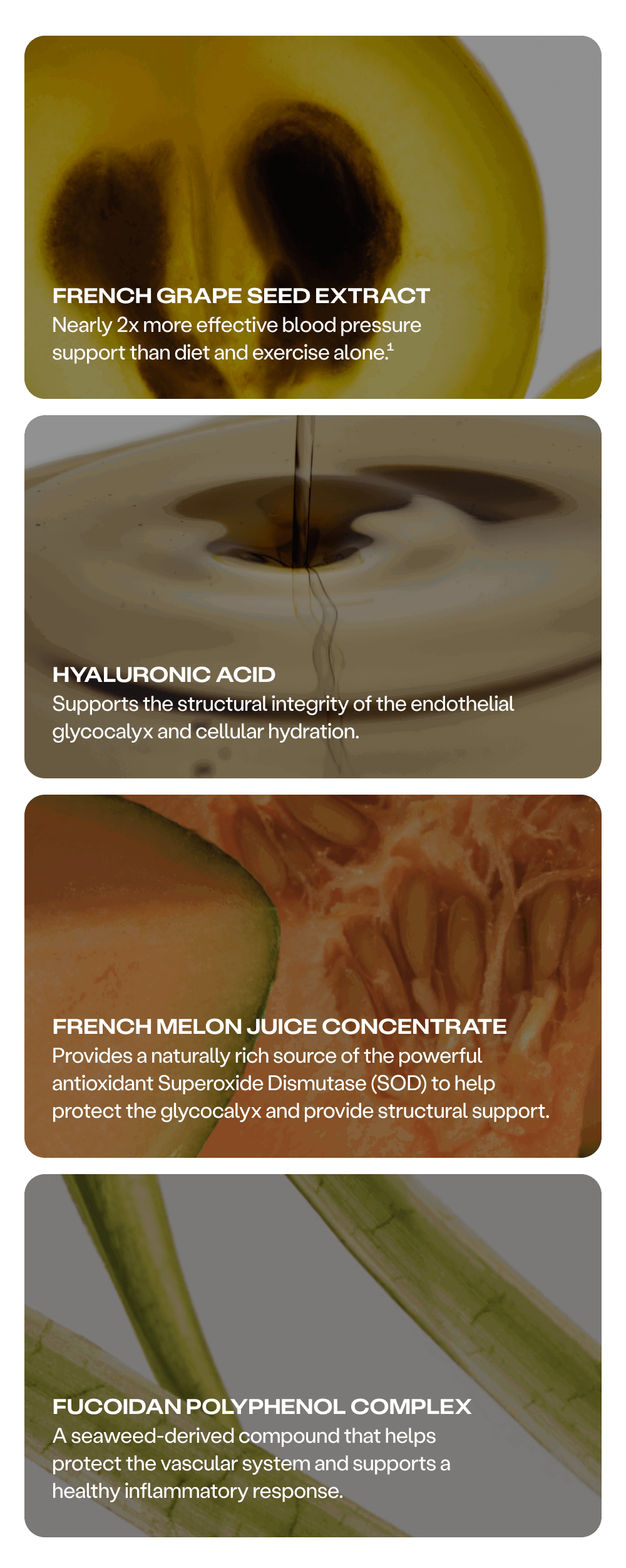 French Grape Seed Extract, Hyaluronic Acid...