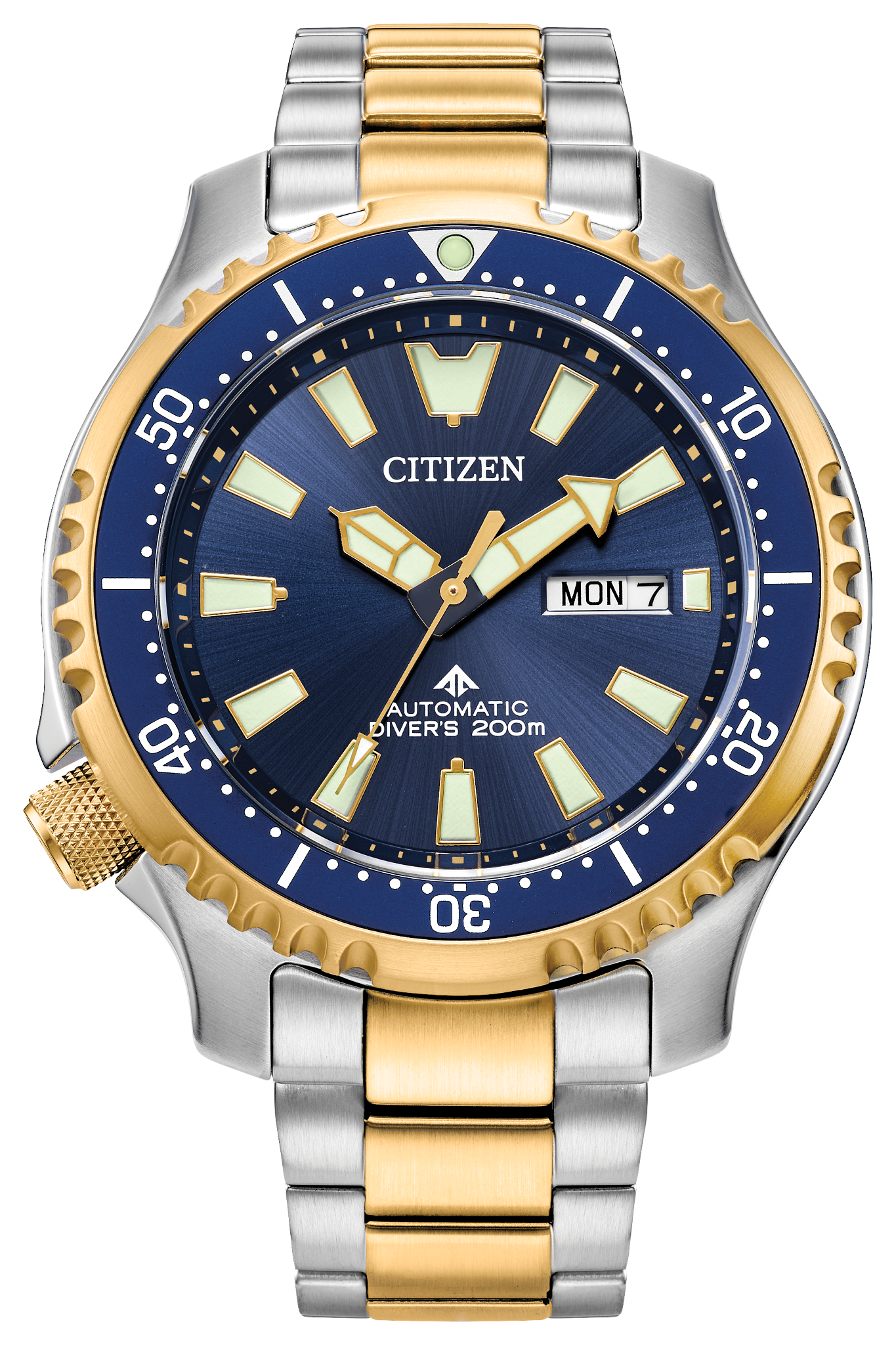 Image of Promaster Dive Automatic