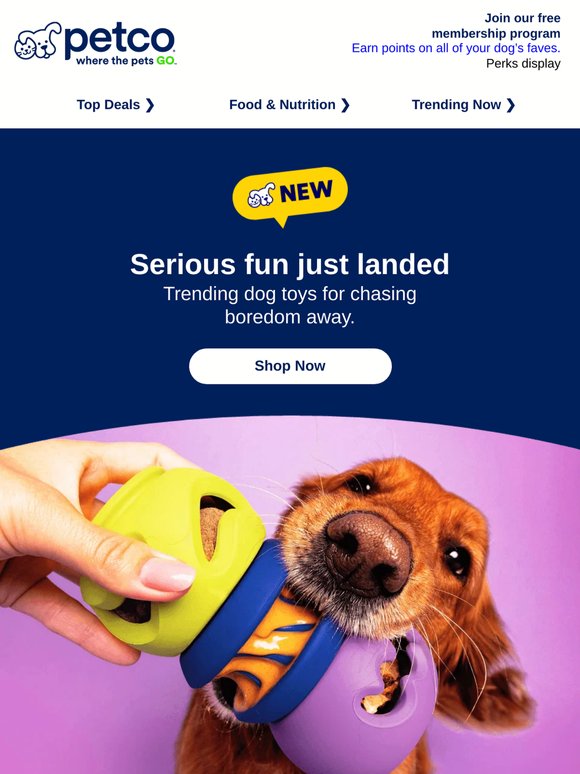 JUST LANDED 🗣 New dog toys incoming!