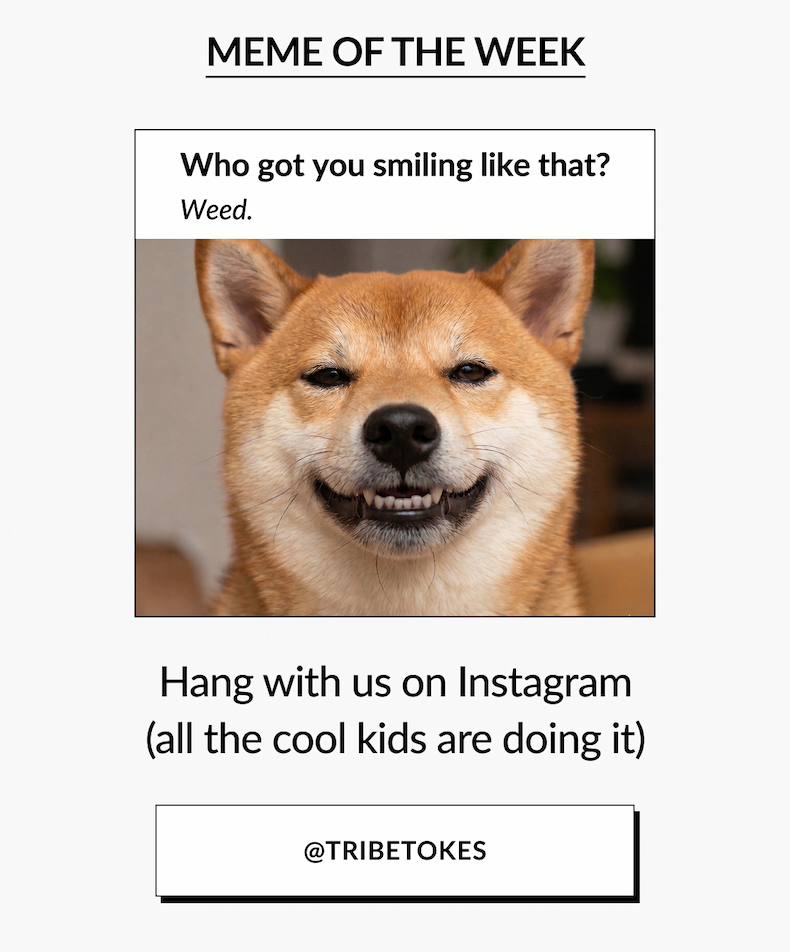 Meme Of The week
