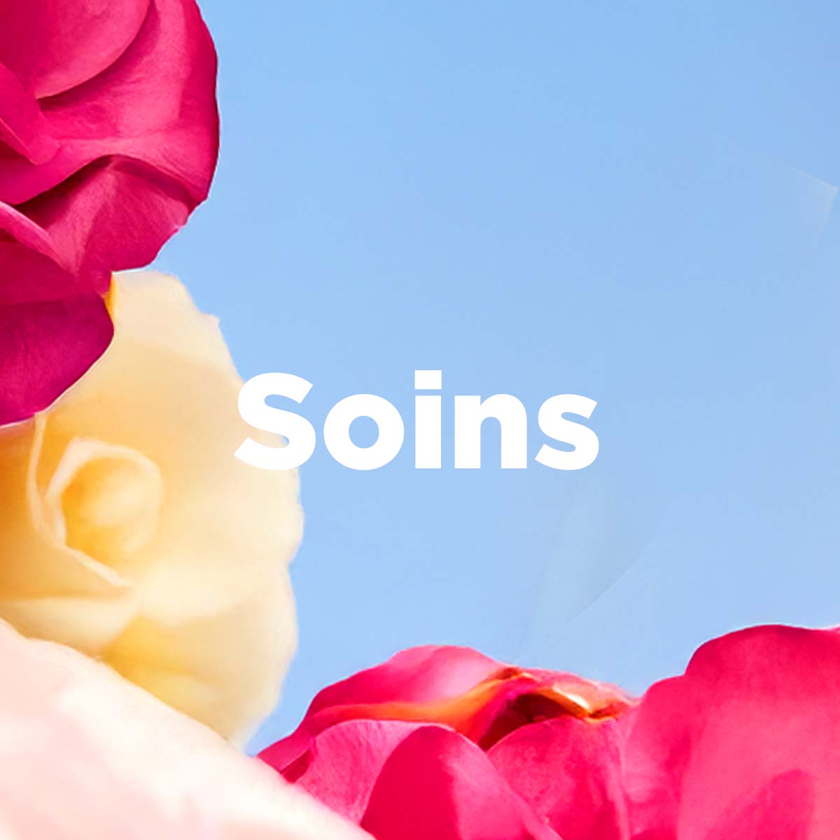 Soins