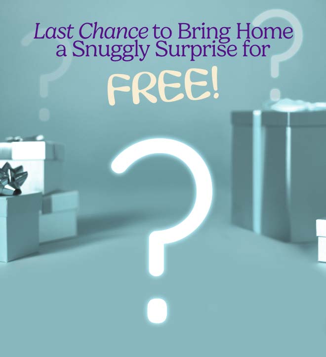 A question mark floating in the middle of a group of gift boxes. Shop Mystery Gift.