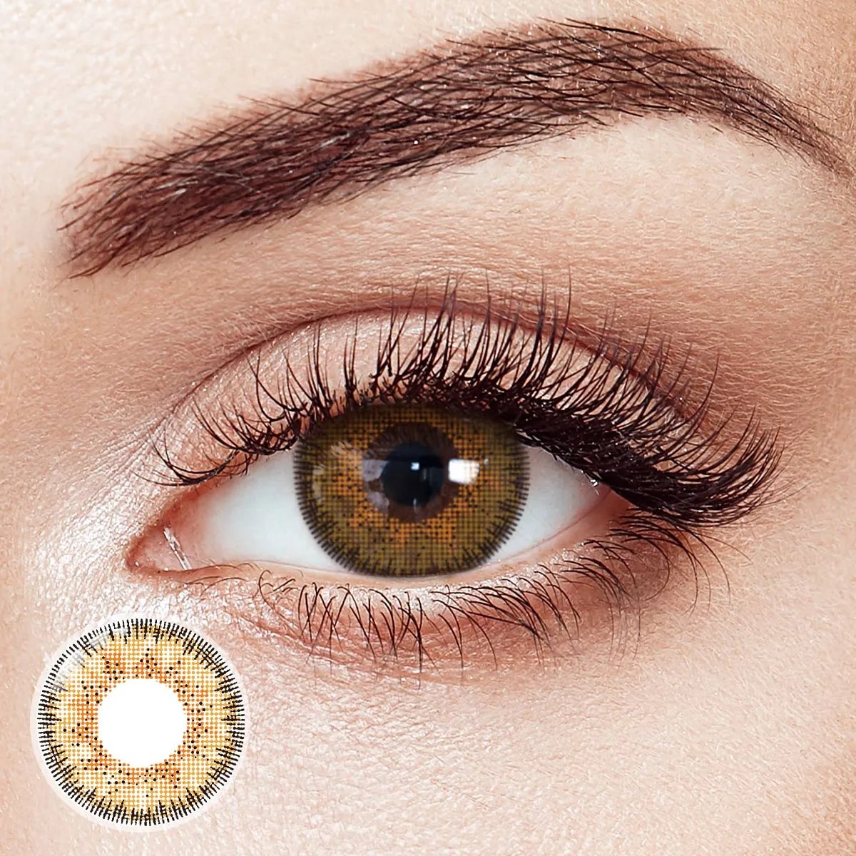 Ridge Brown 6 Months Contact Lenses | 2 Pcs