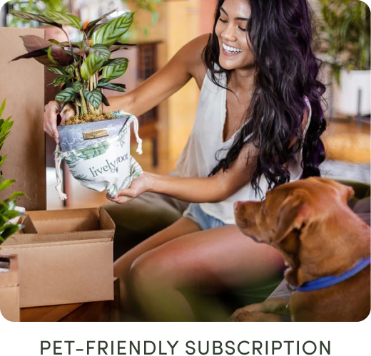 pet friendly subscription