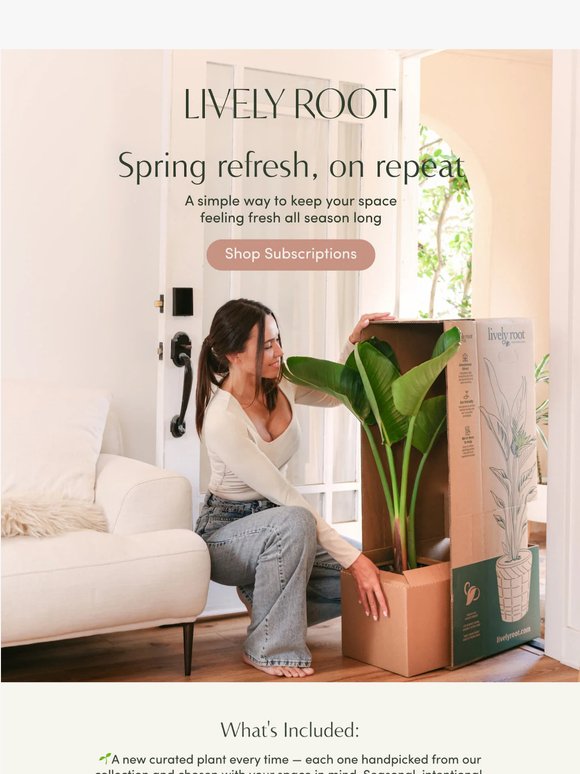 Keep your collection growing with curated monthly deliveries. 💚🌱