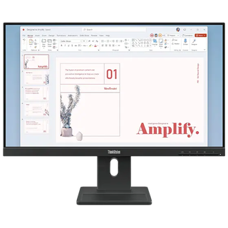 ThinkVision 23.8 inch IPS FHD 100Hz Monitor - E24-40