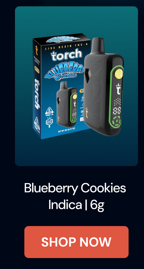 Blueberry Cookies