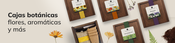 Productos