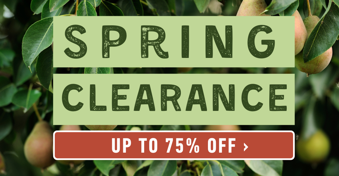 Shop Spring Clearance