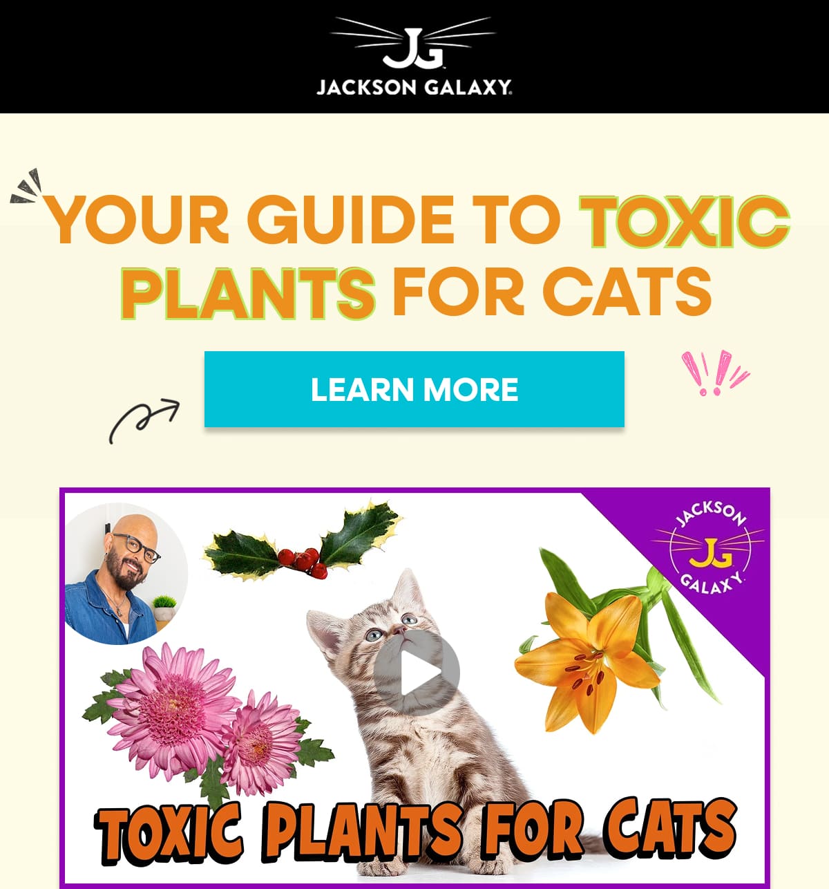 Learn About Plants that are Toxic to Cats
