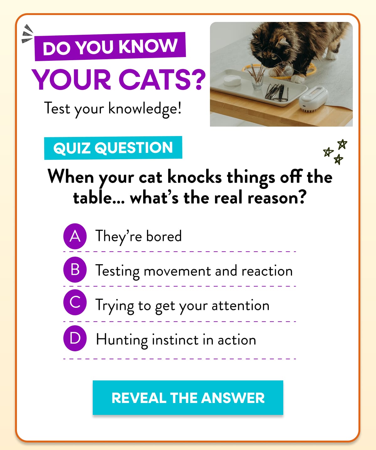 Do you know your cats