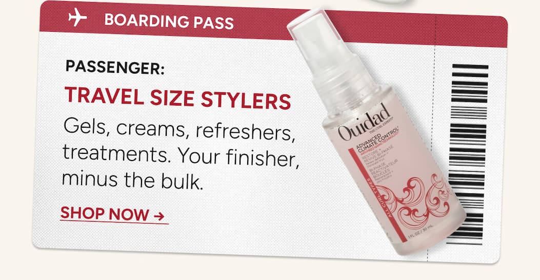 Travel Size Stylers