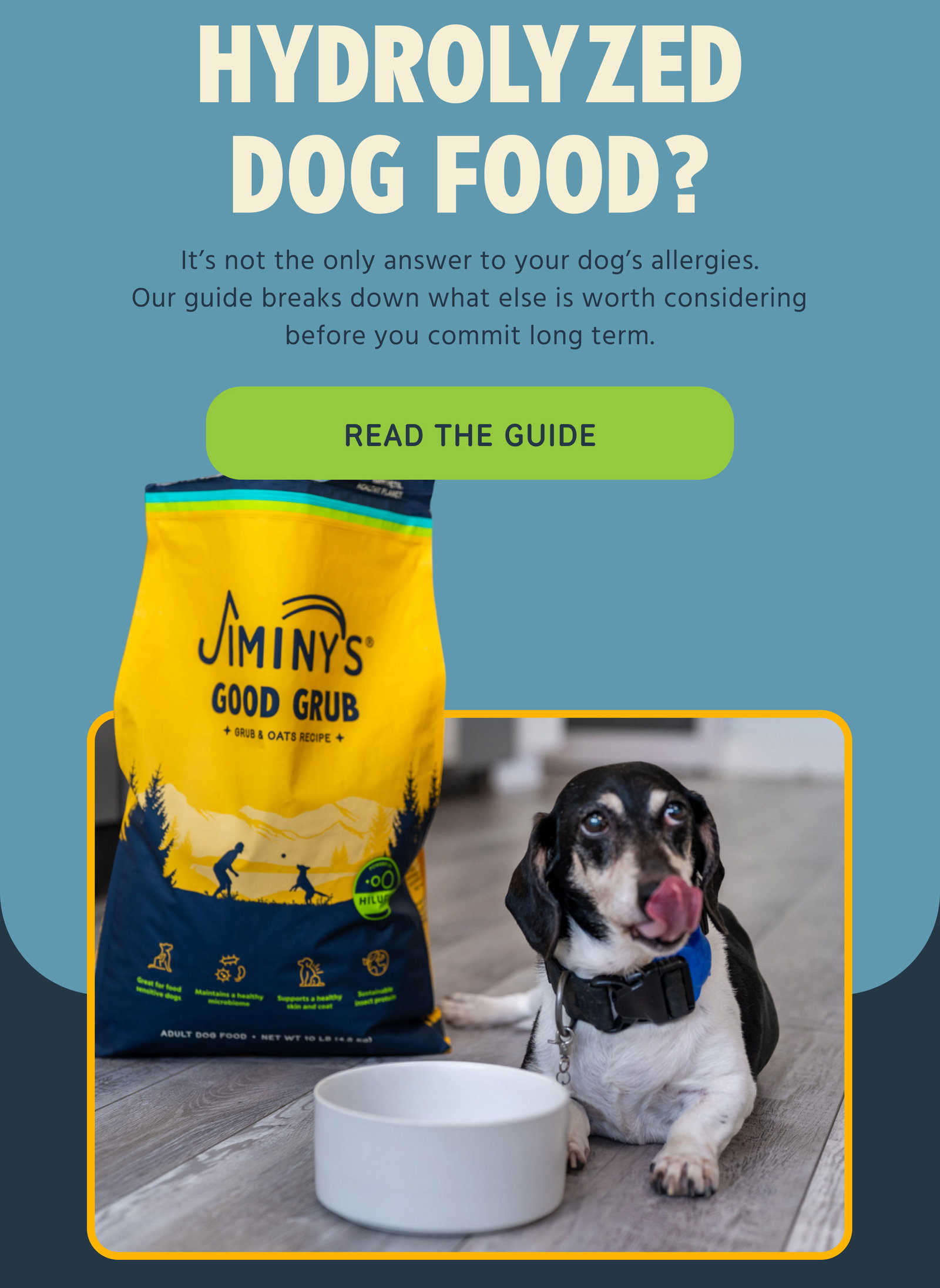 Hydrolyzed Dog Food? It’s not the only answer to your dog’s allergies. Our guide breaks down what else is worth considering before you commit long term. Read the Guide