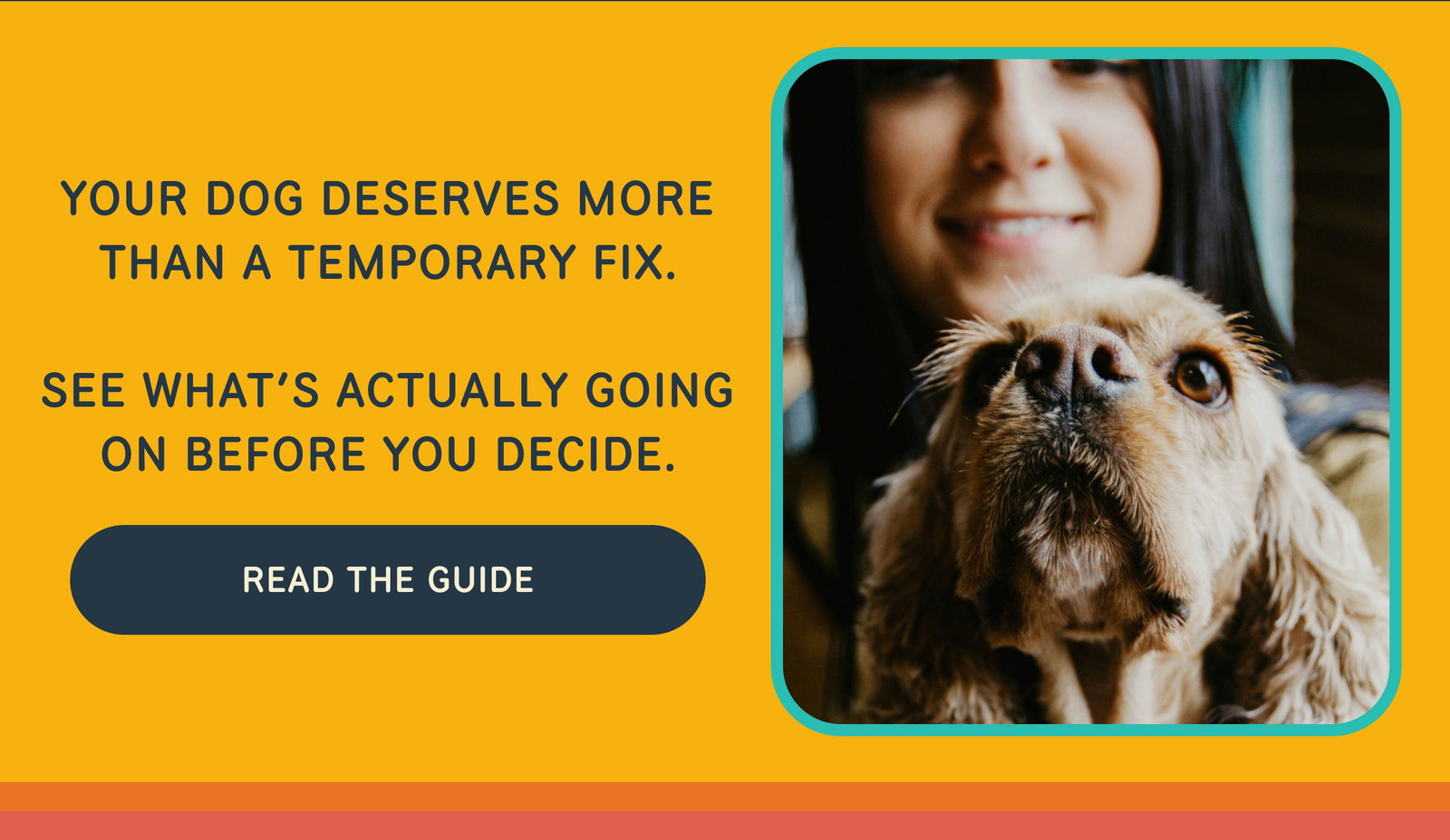 Your dog deserves more than a temporary fix. See what’s actually going on before you decide. Read the Guide