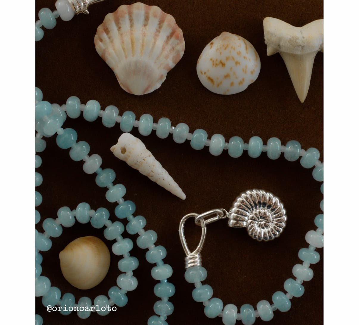 A light blue beaded necklace with a silver nautilus charm and spring ring clasp, styled on a dark brown surface alongside a collection of found ocean objects — a scallop shell, a speckled shell, a shark tooth, a spiral shell, and a smooth stone. Photo by @orioncarloto.