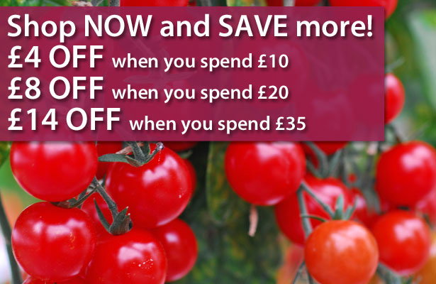 Up to £14 OFF