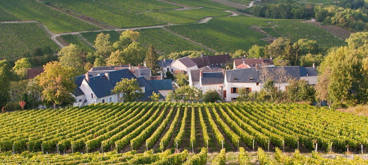 Domaine Vacheron - Val de Loire