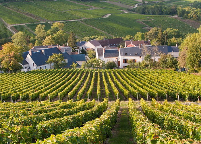 Domaine Vacheron - Val de Loire