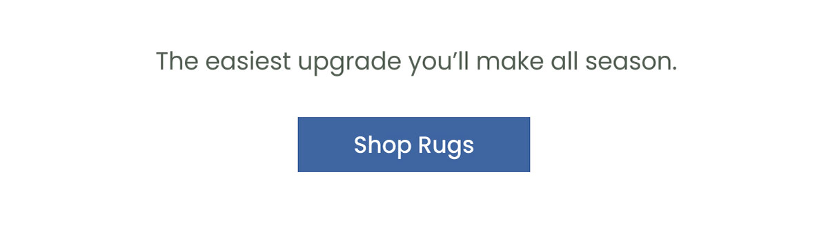 Shop Rugs