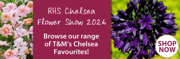 RHS Chelsea Flower Show 2026