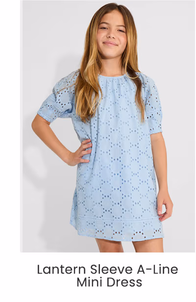 Lantern Sleeve A-Line Mini Dress