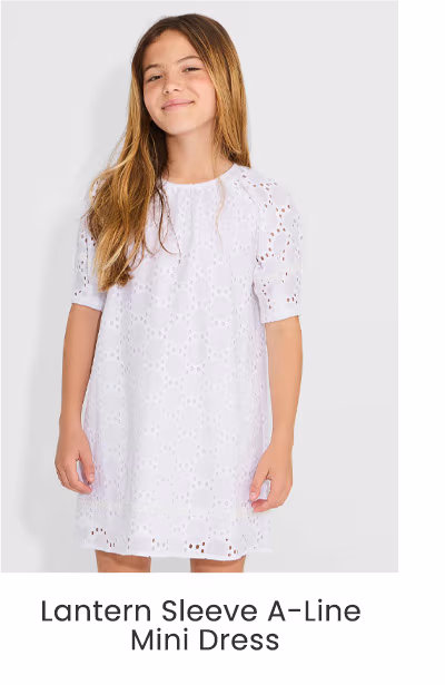 Lantern Sleeve A-Line Mini Dress