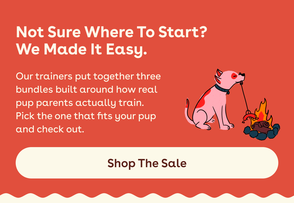 Shop the sale 