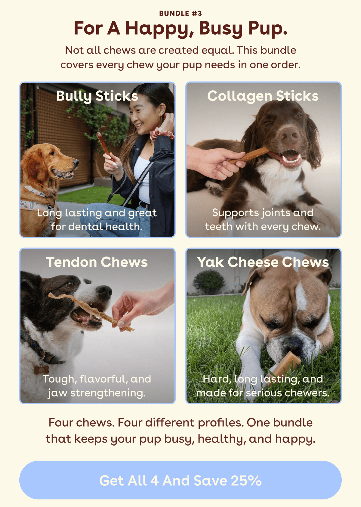 Chews 